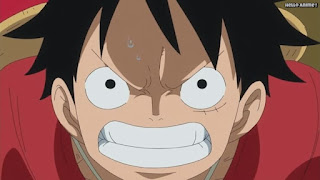 ワンピースアニメ ゾウ編 771話 ルフィ Monkey D. Luffy | ONE PIECE Episode 771