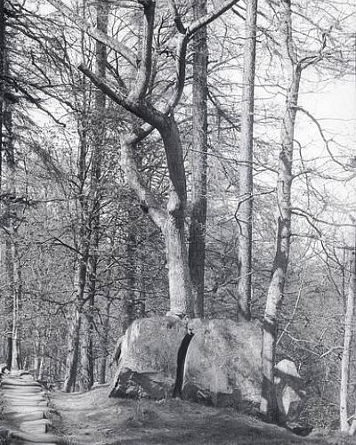 Arnecliff Wishing Stone 1902