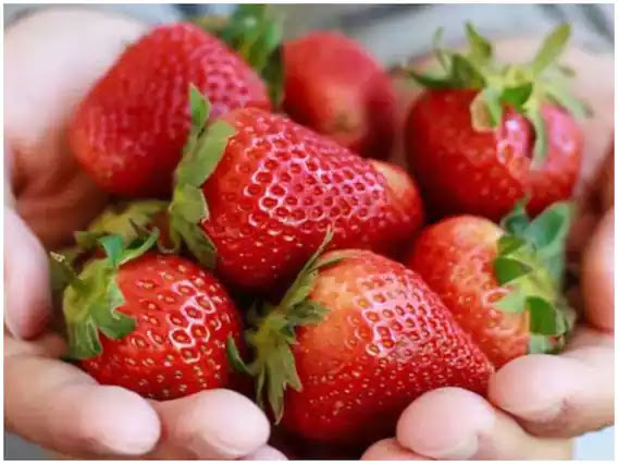 immunity booster fruits