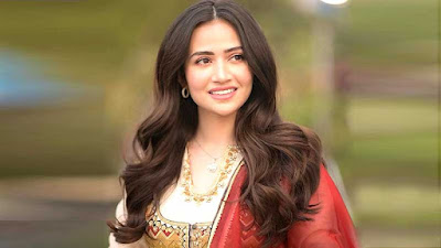 Allegations of immoral behavior, another blow to Sana Javed