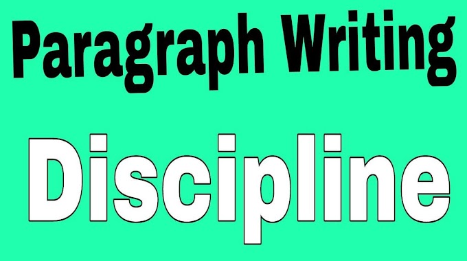 Discipline Paragraph