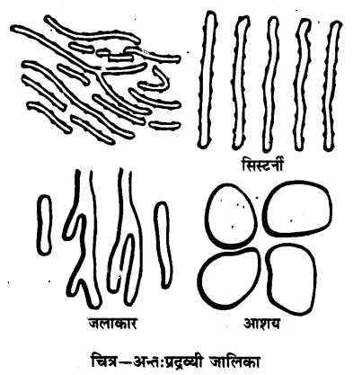 Solutions Class 9 विज्ञान Chapter-5 (जीवन की मौलिक इकाई)