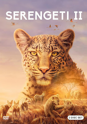 Serengeti 2 new on DVD and Blu-ray