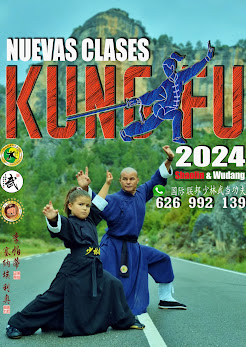 Clases y Cursos de Kung Fu / Wing Chun / Sanda / Defensa Personal. Móvil: 626992139.