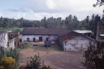 Figure 1. River Antoine estate in St Patrick still producing rum utilizing slavery-era technology in its waterwheel and aqueduct system (courtesy Grenada National Museum)