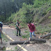 Babinsa Bersama Warga Bersihkan Pohon Tumbang Di Bahu Jalan.