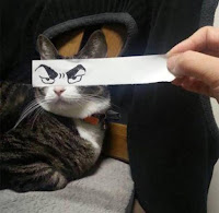 Galería de fotos de humor : dibujando ojos de gatos