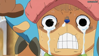 ワンピースアニメ WCI編 785話 チョッパー かわいい Tony Tony Chopper | ONE PIECE Episode 785