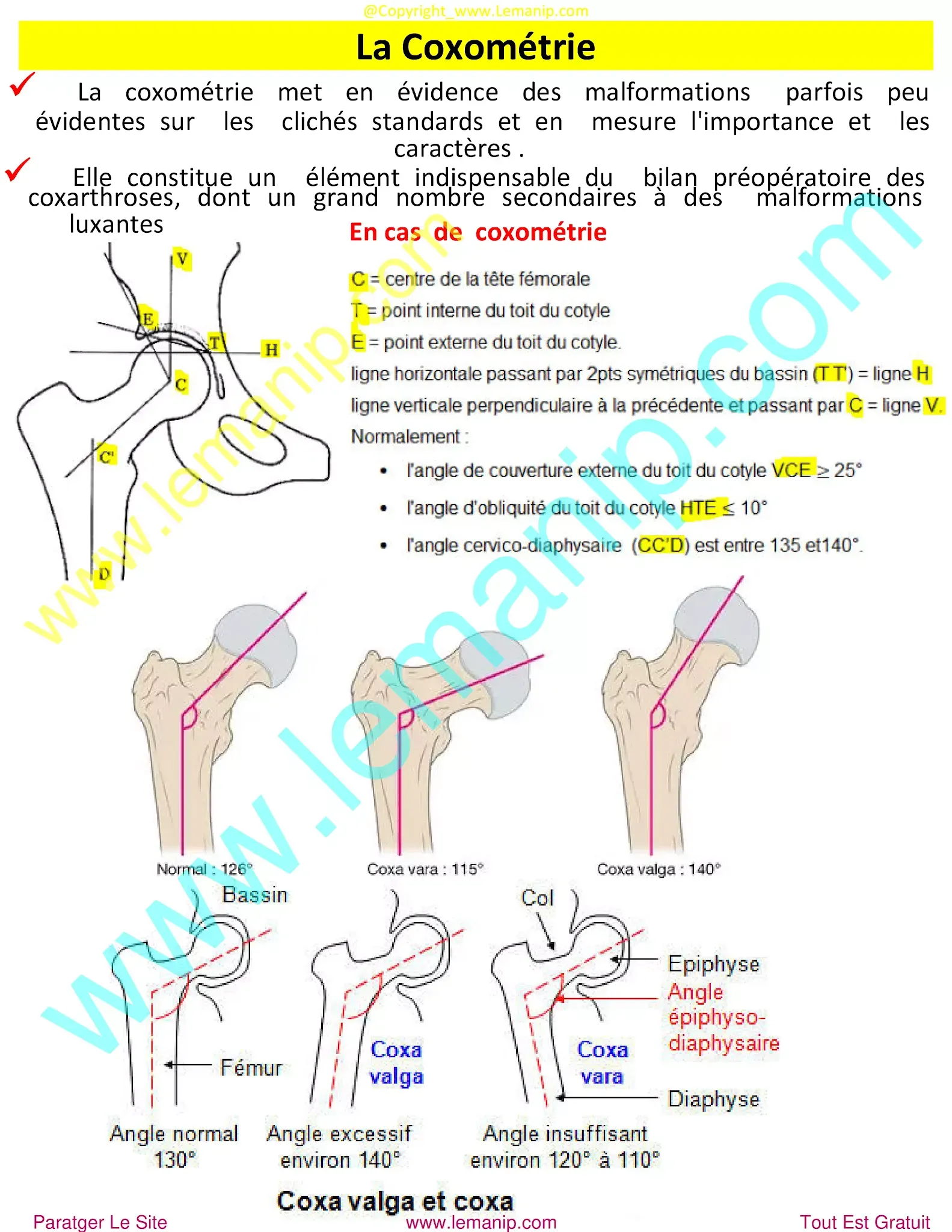 sacrococcygeal joint,pvns,pelvic floor mri,popping hip joint,posterior hip replacement,hip ligaments,rheumatoid,chirurgie hanche clinique privée,douleur hanche et cuisse,chirurgie hanche