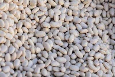 Haricot beans also known as Navy beans have lots of protein and dietary fiber, when it comes to giving the body.