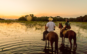 PANTANAL