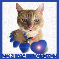 Bonham Forever