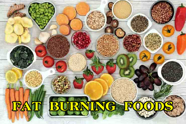 Fat Burning Foods