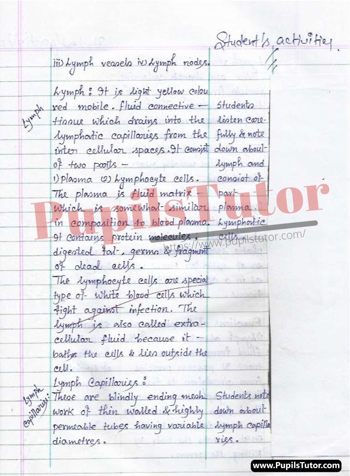 Class/Grade 11 Biology Lesson Plan On Functions Of Lymphatic System For CBSE NCERT KVS School And University College Teachers – (Page And Image Number 3) – www.pupilstutor.com