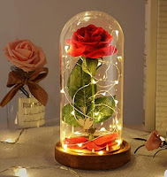 Dream of Flowers Beauty and The Beast Rose in Glass Dome