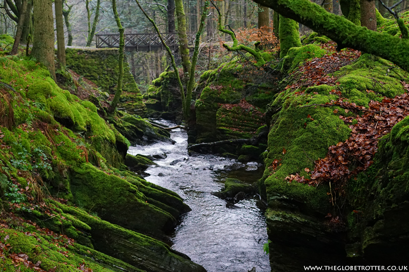 The Hafod Estate in Wales