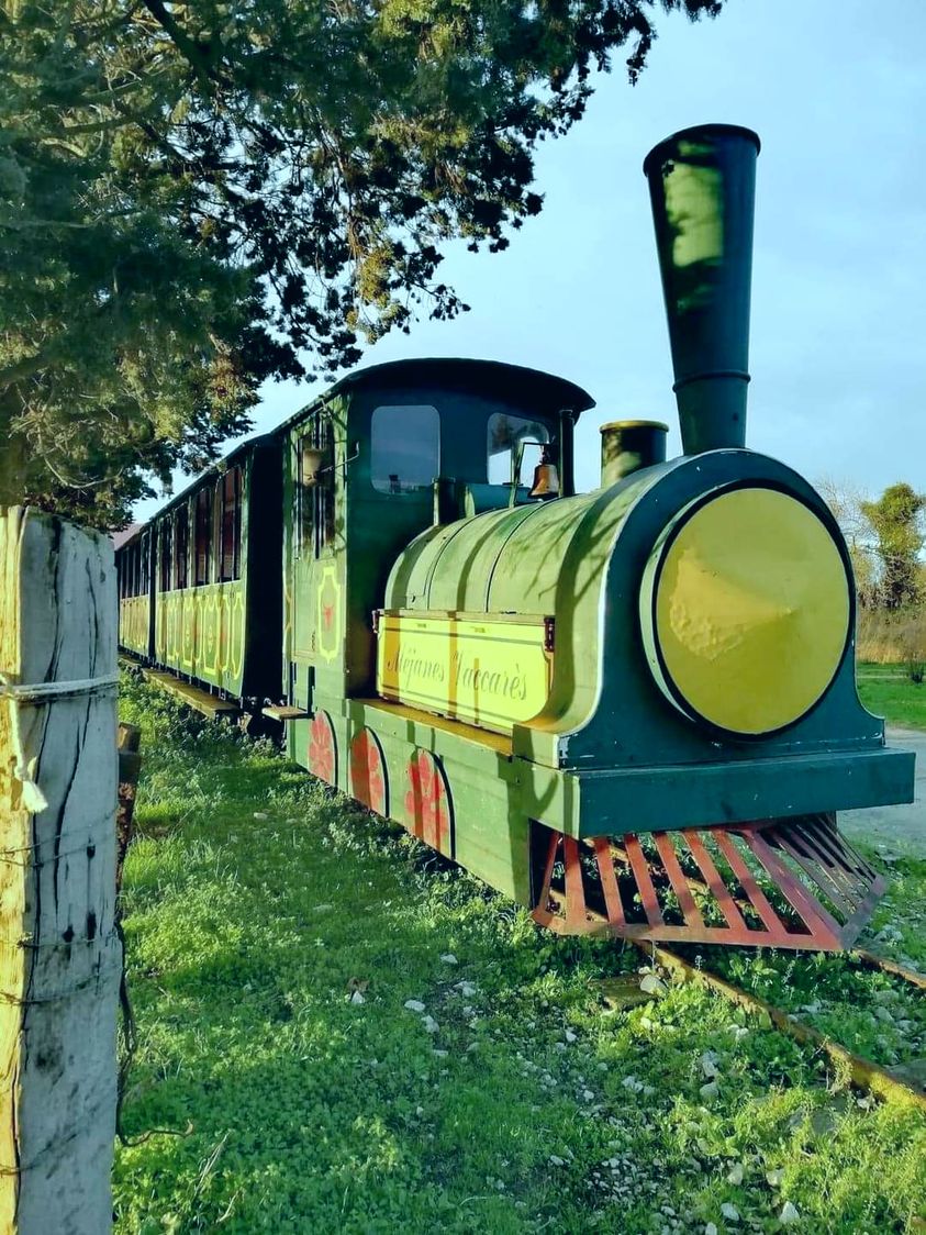 le petit train de Méjanes