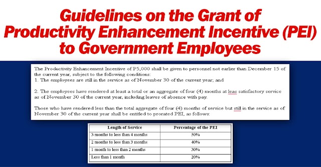 Guidelines on the Grant of Productivity Enhancement Incentive (PEI) to Government Employees | Read here!