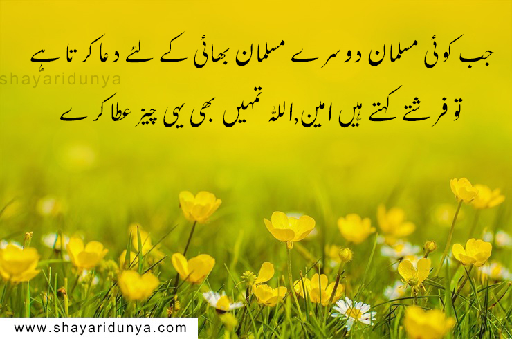 top 20 Best islamic quotes in urdu,islamic status in urdu,islamic quotes images,islamic quotes in urdu about life,islamic heart touching quotes