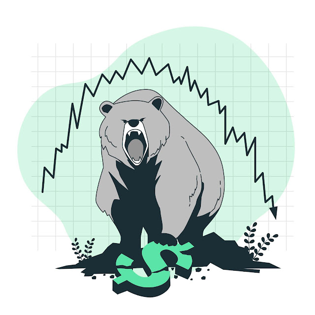Tips for Investing in a Bear Market