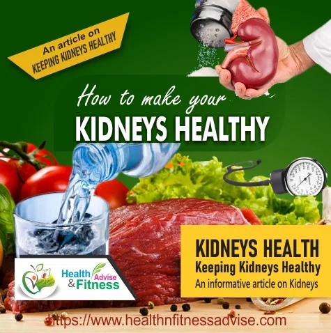 How-to-make-your-kidney-healthy-healthnfitnessadvise-com