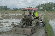 Babinsa Koramil 05/Indra Jaya mendampingi Petani Bajak Sawah dengan Menggunakan Traktor