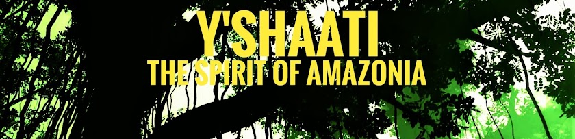 Y'SHAATI: THE SPIRIT OF AMAZONIA