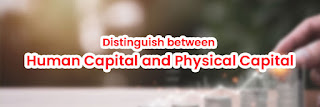 difference between human and physical capital
