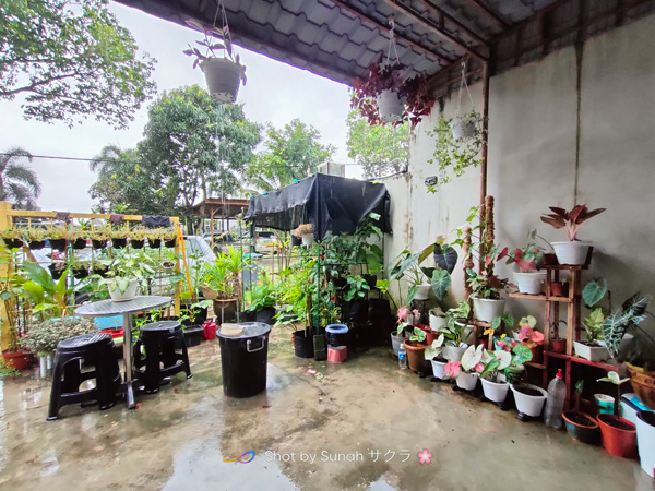 Sunah Small Garden