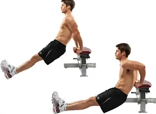 Strength Training For Home - Bench dips