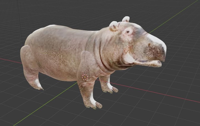 Hippopotamus  Hippo free 3d models blender obj fbx low poly