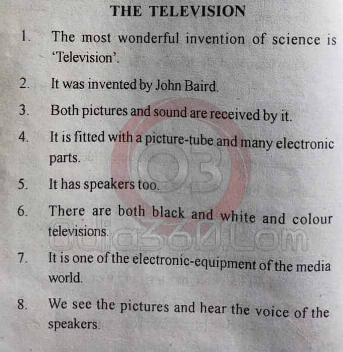 The Television - 10 Lines Essay in English Language for Juniors