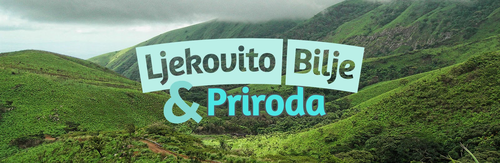 Ljekovite Bilje i Priroda