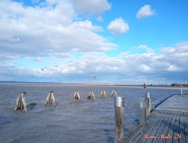 Ausflug zum Neusiedler See - Excursion to Lake Neusiedl