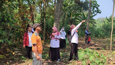 Gerak Cepat, Penyuluh Kecamatan Purwodadi Tanggapi Ulat Bulu yang Serang Pohon Kenanga