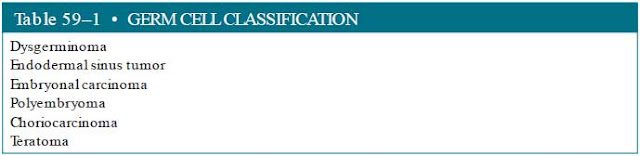 germ cell classification