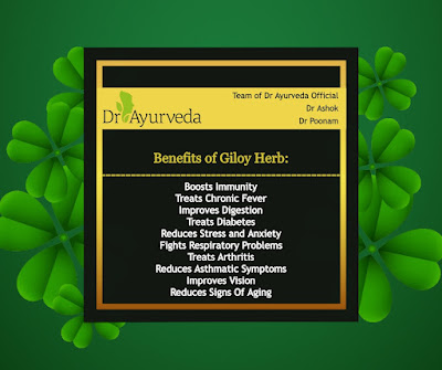 Benefits of Giloy Herb