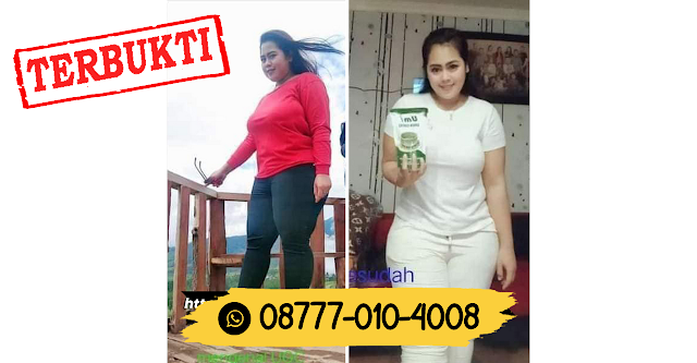 08777 010 4008 CARA MENGECILKAN LENGAN GELAMBIRLanggur