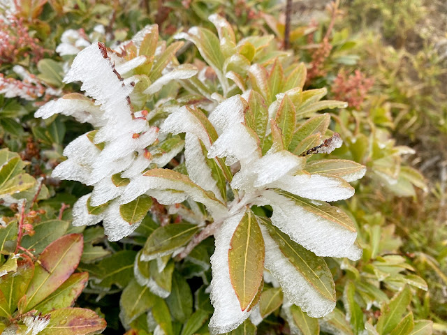 海諾南山下山途中