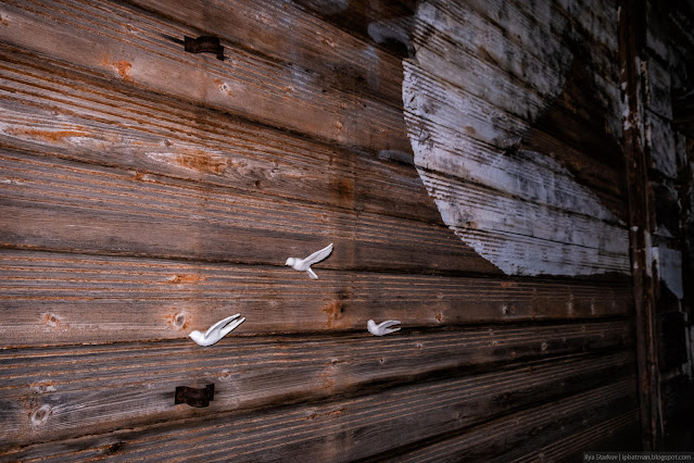 Миниатюрные птицы на стене деревянного дома