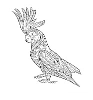 Cacatua coloring page