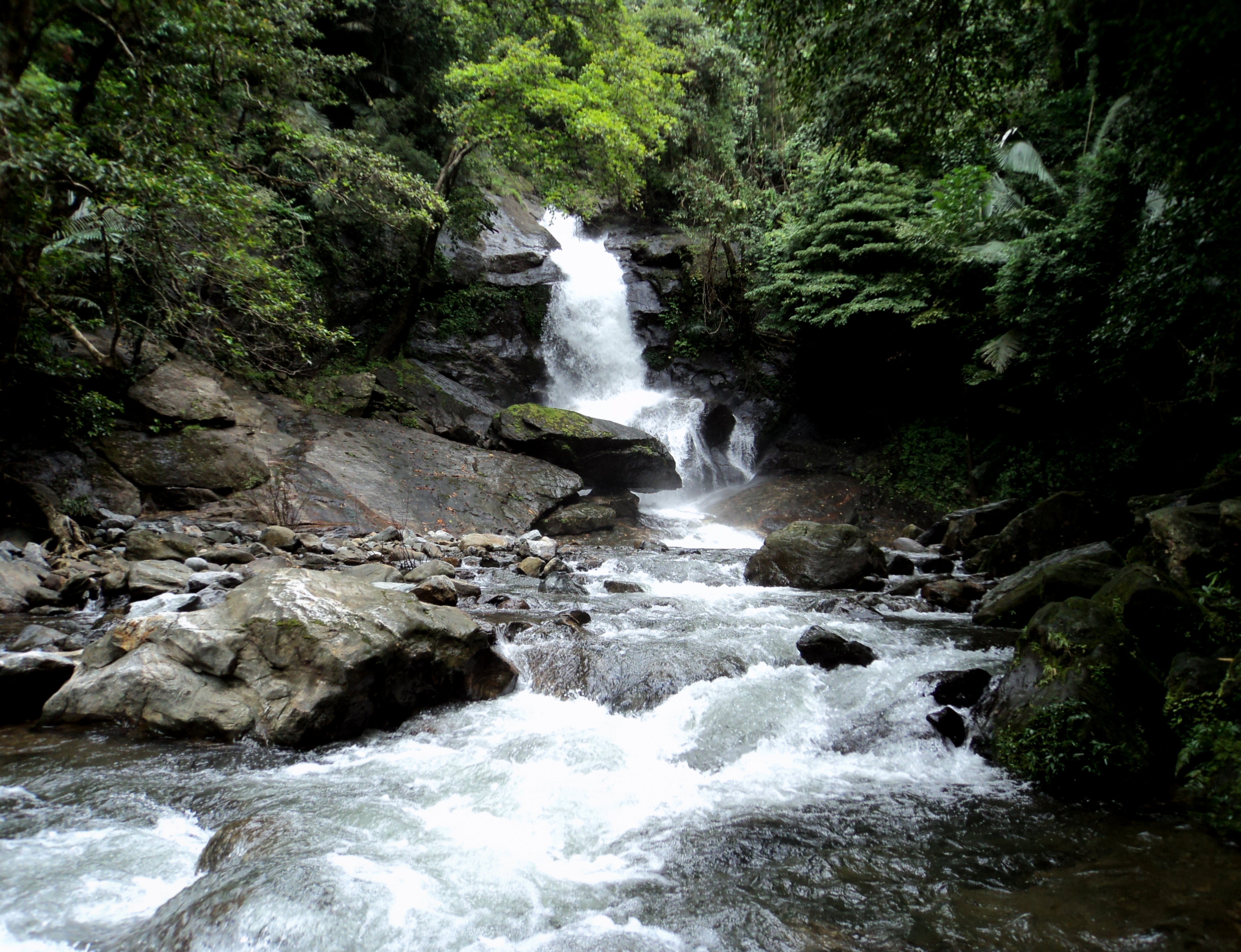 Meenvallam waterfalls