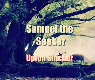 Samuel the Seeker