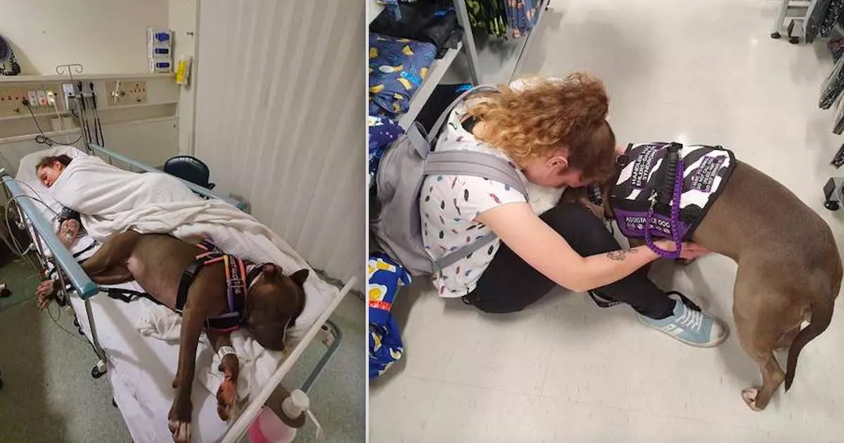 Woman With Rare Heart Condition Is Saved By Loyal Service Dog