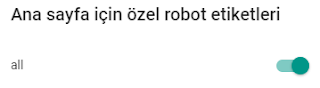blogger temel seo ayarları nasıl yapılır