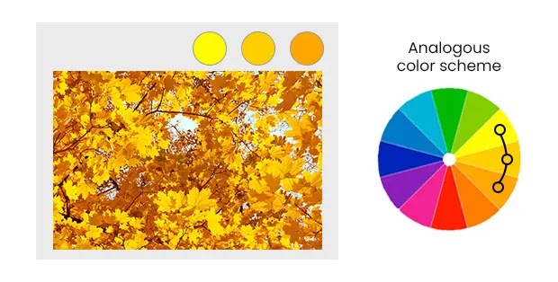 Analogous color scheme example from nature