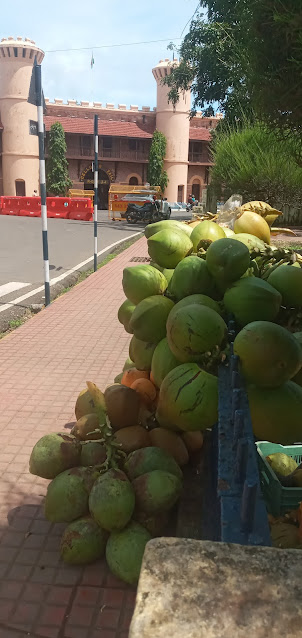 Tender Coconuts sold on the footpath opposite " Cellular Jail ".