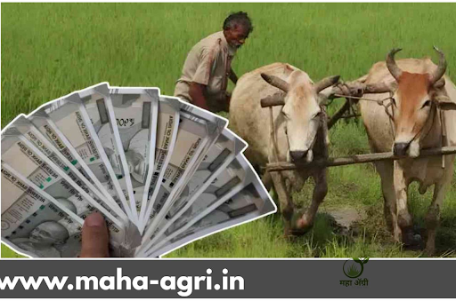 Pm Kisan Namo shetkari Yojna 2024