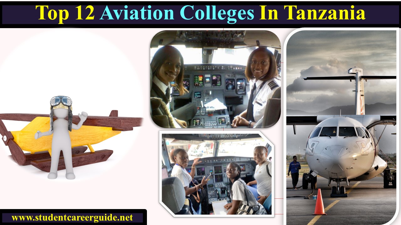 Top 12 Aviation Colleges In Tanzania