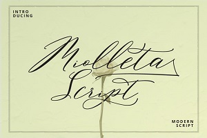 Miolleta Script by Ferdiansyah | Pointlab